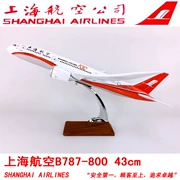 Mô hình máy bay nhựa 43cm Shanghai Airlines B787-800 mô phỏng máy bay chở khách mô hình tĩnh