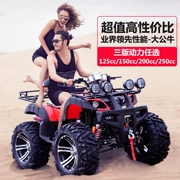 Big bull ATV off-road bốn bánh xe máy xe thể thao bò nhỏ đôi Zongshen 250 làm mát bằng nước ATV