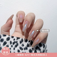 Coffee Color-421 + Aurora Shell Powder 06