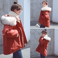 Cotton nữ 2018 phiên bản Hàn Quốc mới của áo khoác rộng bf mùa đông nữ eo bông độn xuống áo cotton ngắn nữ - Bông áo phao bomber nữ