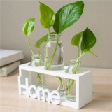 Креативное прозрачное глянцевое свежее украшение для гостиной, настольная лампа для растений