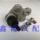 Dongfeng Fengshen AX7 Треугольный рычаг шаровая головка нижняя подвеска шаровая головка Поворотный рычаг нижняя шаровая головка совершенно новый оригинальный Ruitai mini 4