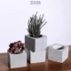 Bê tông xi măng mới sáng tạo thủy canh container thủy tinh ống nghiệm bình đơn giản phòng khách nhà trang trí hoa - Vase / Bồn hoa & Kệ