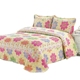 Bông in giường bông bao gồm mảnh duy nhất ba bộ của mùa hè mát điều hòa không khí quilt chần bông tấm bông hai bộ Trải giường