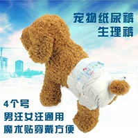 Специальная домашняя моча подгузник с собачьими подгузниками.