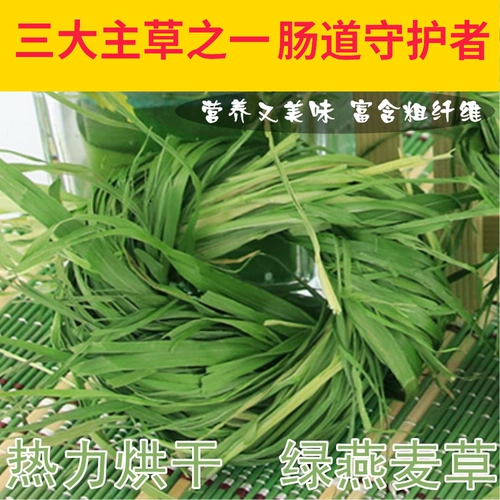 Бесплатная доставка новая столица корма, сушеная зеленая овсянка 250 граммов тоторового кролика, гвинеи, сухой трава, сушеные травы, три главные травы