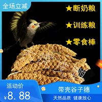 Новые закуски Huangguzi Sui xunbird натуральные органические продукты из нержавеющей стали баскетбольные игрушки для попугай