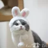 Товары от 可爱猫乐园