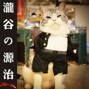 Quần áo mèo mùa hè phần mỏng biến thành tiếng Anh ngắn mèo con chó ngộ nghĩnh vui vẻ thẳng quần áo vật nuôi cung cấp quần áo - Quần áo & phụ kiện thú cưng