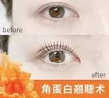 Ограничение для ресниц Барби горячая кукла Hot -Coolled Corner Corner Roll Catched Setasthes Set Eshelashes Tool