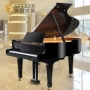Đàn piano Spyker mới của Châu Âu thủ công thương mại đại học chuyên nghiệp trình độ chuyên nghiệp grand piano 186TG - dương cầm yamaha ydp 103