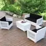 Nội thất ngoài trời giải trí ban công mây ghế sofa vườn biệt thự phòng khách mây ghế sofa kết hợp ghế sofa hiện đại - Nội thất siêu thị xe đẩy hàng 2 bánh