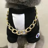 Холод - котенок котенка, кошка, собака, собака, шея, шея, ювелирные изделия, борьба с большим золотым воротником