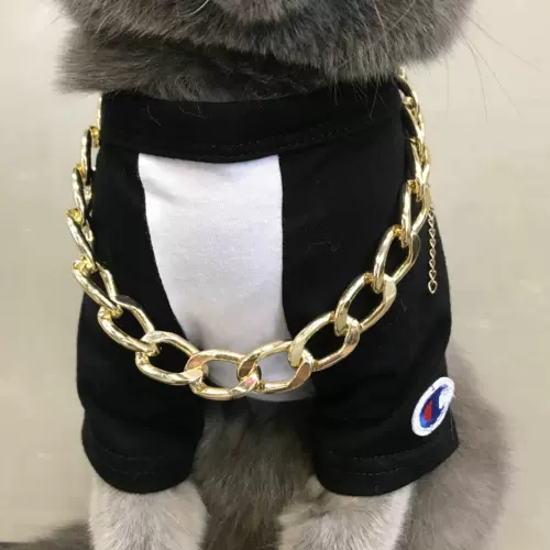 Холод - котенок котенка, кошка, собака, собака, шея, шея, ювелирные изделия, борьба с большим золотым воротником