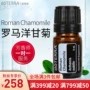 DoTERRA Dotray Tinh dầu hoa cúc La Mã Đơn phương RomanChamomile Trang web chính thức của Hoa Kỳ Chính hãng 5ml - Tinh dầu điều trị dầu bơ