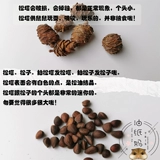 Ослетние бумага Матери Хомять шлифование игрушечную игрушку для сосны сосны цена ① Белое вещество - это кристалл соснового масла