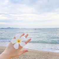 Свежая пляжная заколка для волос подходит для фотосессий, аксессуар для волос, японские и корейские, пляжный стиль, в цветочек, цветочное украшение