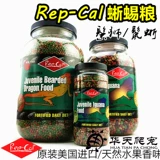 Американские оригинальные личинки для репутации/ящерица, ящерица/грива ящерица кормля