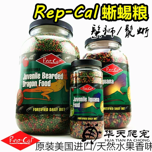Американские оригинальные личинки для репутации/ящерица, ящерица/грива ящерица кормля