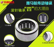 Yamaha Fast Eagle Qiaogefu Lily Eagle Lingying Yueying Bản gốc truyền động mang kim truyền - Vòng bi