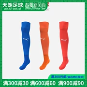 Bóng đá Tianlang Puma Hummer đội đào tạo trò chơi vớ bóng vớ bóng đá đích thực trên vớ đầu gối 703116 - Bóng đá