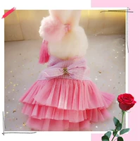 Кролик, одежда, юбка, наряд маленькой принцессы, домашний питомец