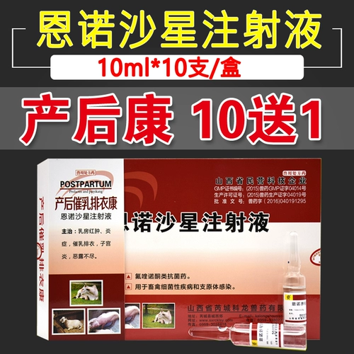 Enno Schaxing Beast входные наркотики откровенный портрет свиньи свиньи свиньи свиньи