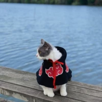 Организация Наруто кот красное облако плащ плащ плащ для кондиционера