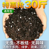 Зеленая пенисфера, посаженная в горшках