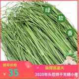 БЕСПЛАТНАЯ ДОСТАВКА 22 года сушильной пшеничной травы, кролик -дракон, голландская свинина, дельфин, немецкий, сухой травяной корм для корма