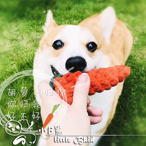 Self -Reperved Run Corki Bear Bear Toys As Marto Pet Cotton Creative Pet Foot Mogo Dog Dog Игрушка