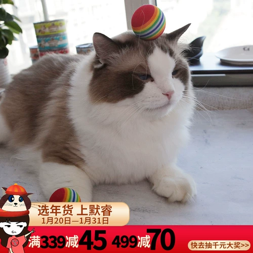 Радужная эластичная милая игрушка, кот