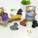 Мини -смола собачья настольная настольная настольная горшка с виппийками из пинги, чем медведь Коркака Кордонари 1