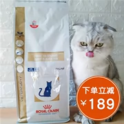 Chính hãng chống giả mèo Royal FR31 chất xơ cao dễ tiêu hóa theo toa thức ăn cho mèo 2kg cải thiện táo bón đường ruột giúp tiêu hóa - Cat Staples