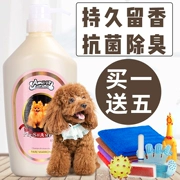 Yi pro pet dầu gội 500L Teddy gấu làm đẹp cung cấp làm sạch chó mèo tắm sữa tắm - Cat / Dog Beauty & Cleaning Supplies