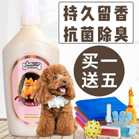 Yi pro pet dầu gội 500L Teddy gấu làm đẹp cung cấp làm sạch chó mèo tắm sữa tắm - Cat / Dog Beauty & Cleaning Supplies Bóng giặt nhím trắng Kikkerland.
