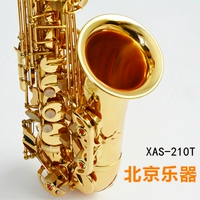 Bắc Kinh Gió Nhạc cụ Điện di Vàng Saxophone Saxophone E-phẳng Alto Saxophone - Nhạc cụ phương Tây kèn harmonica