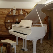 Phong cách thanh lịch 231 grand piano ngang piano! Nhà máy sản xuất đàn piano mười năm tuổi là đáng tin cậy