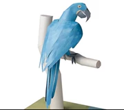 Full 68 thế giới động vật quý hiếm Mô hình giấy 3D Macaw sản phẩm không thành phẩm tự làm với mô tả giấy