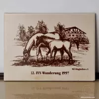 Западная коллекция индейки -приготовленная немецкая пейзаж ретро -плитка декоративное кирпичное кирпичное кирпич двойные лошади