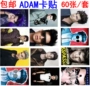 Adam Lambert Thẻ Sticker Adam Lamberts Master Scrub Rice Sticker Anime Bộ ngoại vi 60 mảnh - Carton / Hoạt hình liên quan sticker mèo cute