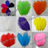 Заводские прямые продажи волосы страуса 20-25 см свадебные перья сцены