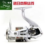 Волфки короли рыбалки Raptors Textile Колесо морское рингджи Кольцо Fun Falm Darm Asian Full Metal Fiel Phile Whenea Wheel