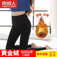 Quần nhung vàng dày với quần legging nhung có thể mặc bên ngoài size lớn eo cao mùa thu và mùa đông ấm chân đen quần ống rộng nữ