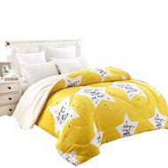 Quilt được dày lên bởi lõi mùa đông ấm áp ký túc xá là bọ cạp đơn đôi cashmere mùa đông mùa xuân và mùa thu sinh viên quilt