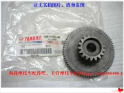 Tianjianwang 250 motor qua cầu răng YBR250 motor idler gear Feizhi 250 motor đôi răng - Xe máy Gears