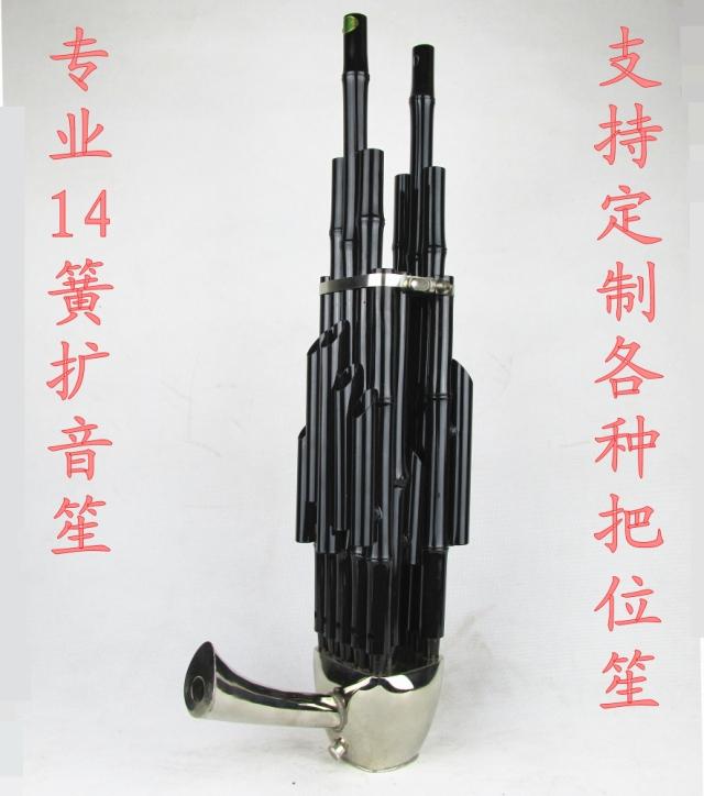 THUNDER INSTRUMENT 14 SPRING SOLO SHENG PROFESSIONAL PERFORMANCE FANG SHENG ALL BLACK COPPER FIGHTING YU 