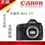 5d3 độc lập chuyên nghiệp kỹ thuật số 1dx 2 5d đánh dấu iii camera 5d Canon SLR máy ảnh kỹ thuật số SLR máy ảnh polaroid