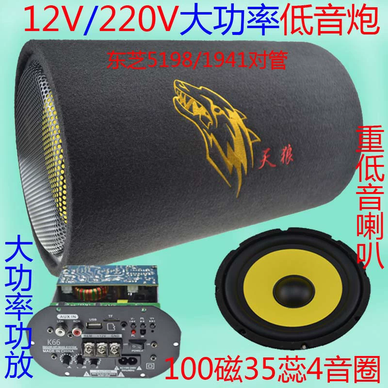 Speakers, 10 inch, 12v, 220v, 24v, bluetooth