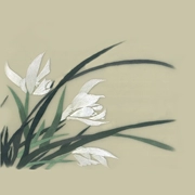 Nổi tiếng cổ thêu nghệ thuật thêu thêu diy kit người mới bắt đầu handmade sơn trang trí hoa trắng 30 * 30 CM